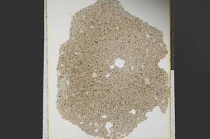 Plane Polarized, S15272