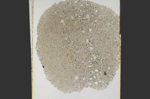 Plane Polarized, S15273