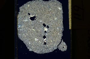 Cross Polarized, S15279