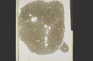 Plane Polarized, S15279