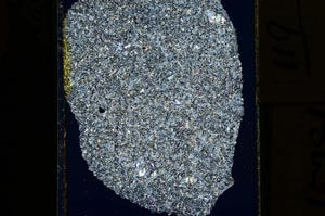 Cross Polarized, S15281