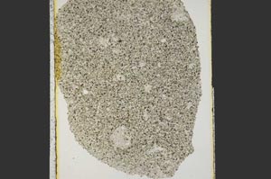 Plane Polarized, S15281