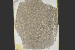 Plane Polarized, S15284