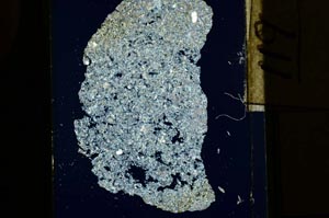 Cross Polarized, S15285