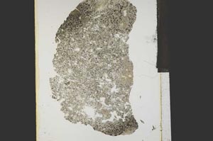 Plane Polarized, S15285