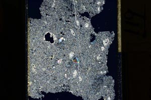 Cross Polarized, S15286