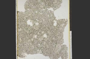 Plane Polarized, S15286