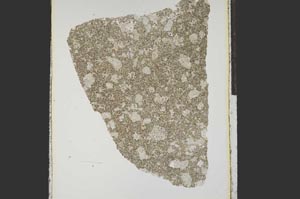 Plane Polarized, S15288