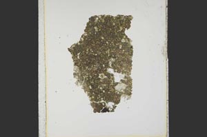 Plane Polarized, S15289