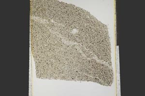 Plane Polarized, S15290