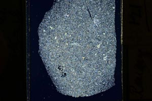 Cross Polarized, S15293