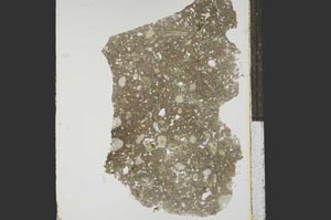 Plane Polarized, S15294