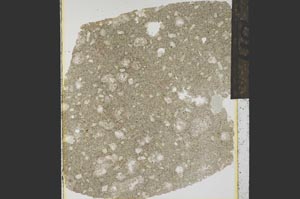 Plane Polarized, S15297