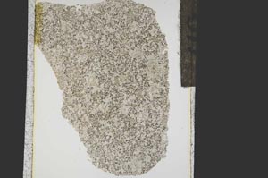 Plane Polarized, S15302