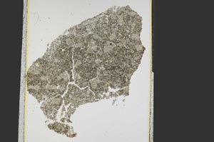 Plane Polarized, S15303