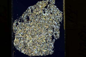 Cross Polarized, S15307