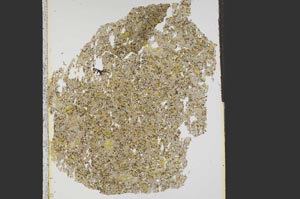 Plane Polarized, S15307