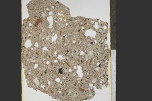 Plane Polarized, S15309