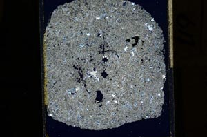 Cross Polarized, S15311