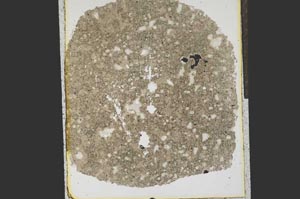 Plane Polarized, S15311