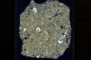 Cross Polarized, S15312