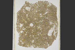 Plane Polarized, S15312