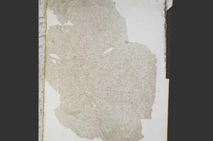 Plane Polarized, S15314