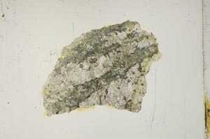 Plane Polarized, S15328