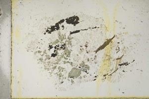 Plane Polarized, S15329