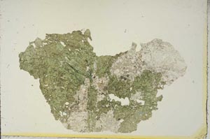 Plane Polarized, S15331