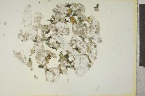 Plane Polarized, S15332