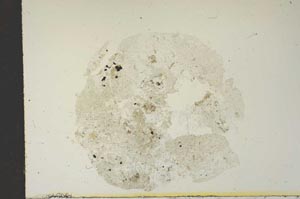 Plane Polarized, S15334