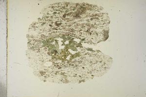 Plane Polarized, S15339