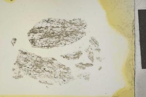 Plane Polarized, S15342