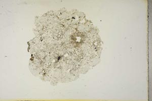 Plane Polarized, S15345
