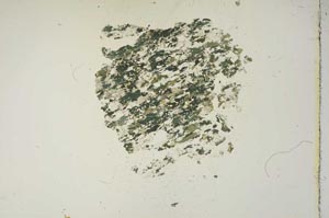 Plane Polarized, S15346