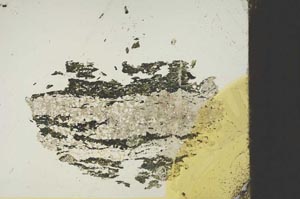 Plane Polarized, S15347