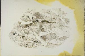 Plane Polarized, S15355