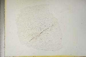 Plane Polarized, S15364