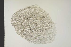 Plane Polarized, S15366