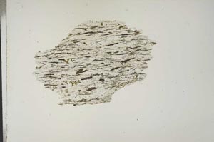 Plane Polarized, S15369