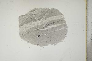 Plane Polarized, S15373/A