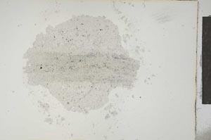 Plane Polarized, S15380