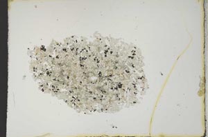 Plane Polarized, S15382