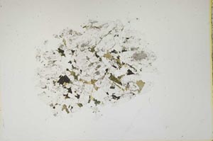 Plane Polarized, S15393