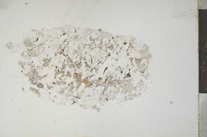 Plane Polarized, S15395