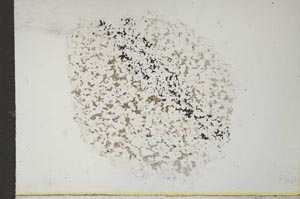 Plane Polarized, S15397