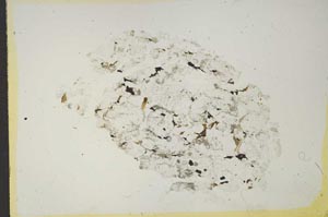 Plane Polarized, S15399