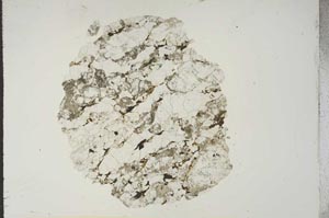 Plane Polarized, S15403
