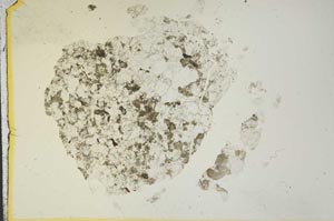 Plane Polarized, S15408